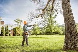 Best Tree Cabling and Bracing  in Union City, IN