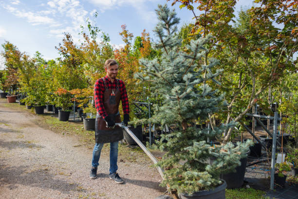 Best Storm Damage Tree Cleanup  in Union City, IN